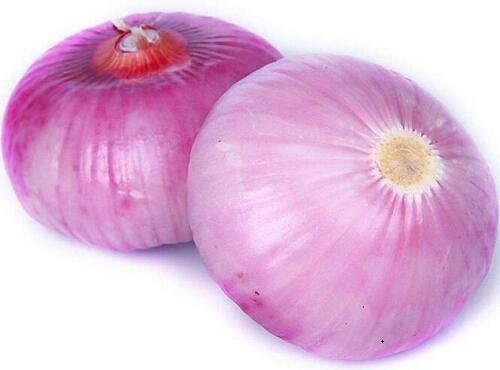 蔬菜品種：洋蔥